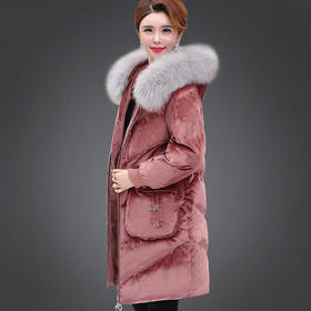 XTH-12558妈妈冬装外套阔太太棉衣洋气50岁中年女装金丝绒羽绒棉