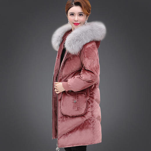 XTH-12558妈妈冬装外套阔太太棉衣洋气50岁中年女装金丝绒羽绒棉 商品图0