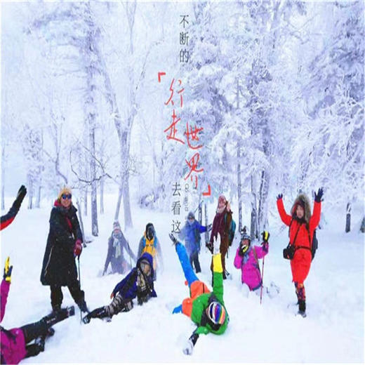 12.27-1.3【雪乡长白山】2+1陆地头等舱の长白山+延吉+雪乡+冰雪大世界7日大环线 商品图6