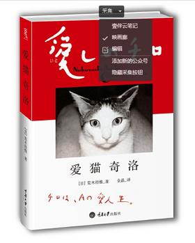 《爱猫奇洛 》(日)荒木经惟/重庆大学出版社