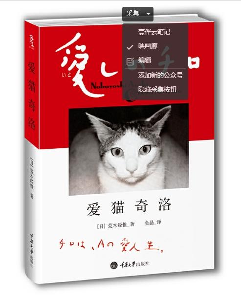 《爱猫奇洛 》(日)荒木经惟/重庆大学出版社 商品图0