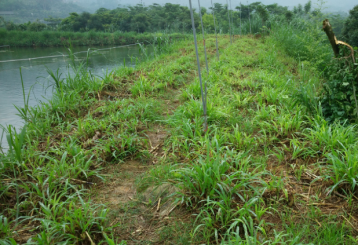 1555931172(1).png?x-oss-process=image/resize,m_lfit,w_750,limit_0/quality,q_90