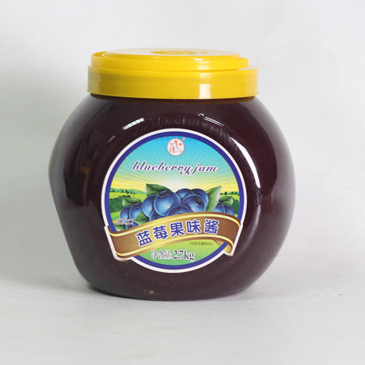 大拇指  蓝莓 A级果酱（沙冰酱）2.7kg/瓶 商品图1