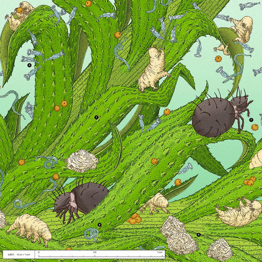 微观世界： 谜一样的小生命  浪花朵朵 后浪出版 商品图3