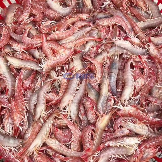 【野生樱花虾】纯正野生海虾，速冻锁鲜，肉质Q弹，营养美味，妈鲜乐广东潮汕海鲜基地发货 商品图3