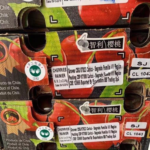 智利空运雷尼尔金车2j5斤礼盒装仅售成都市区闪送发货