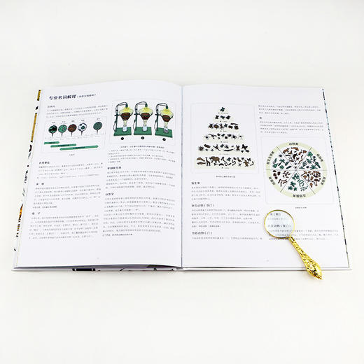 微观世界： 谜一样的小生命  浪花朵朵 后浪出版 商品图5