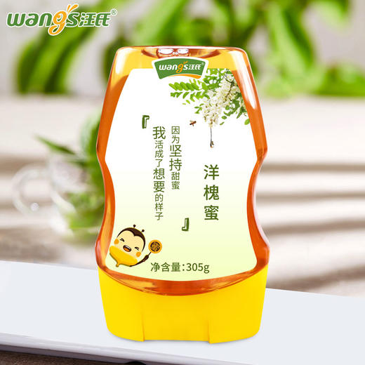 【汪氏】正宗洋槐蜜305g 商品图3