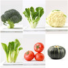 有机蔬菜宅配6斤 商品缩略图2