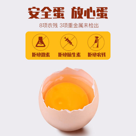 精选鲜品 宫廷御用 北京油鸡蛋 小时候的味道 黄白比超大 商品图1