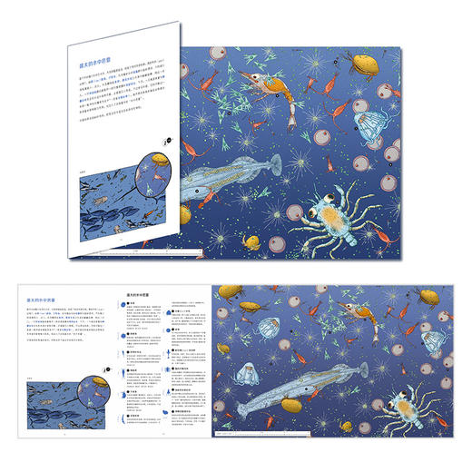 微观世界： 谜一样的小生命  浪花朵朵 后浪出版 商品图2