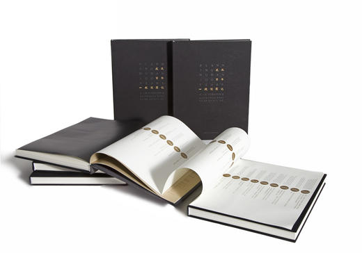 武汉百年规划图记（第二版） 商品图1