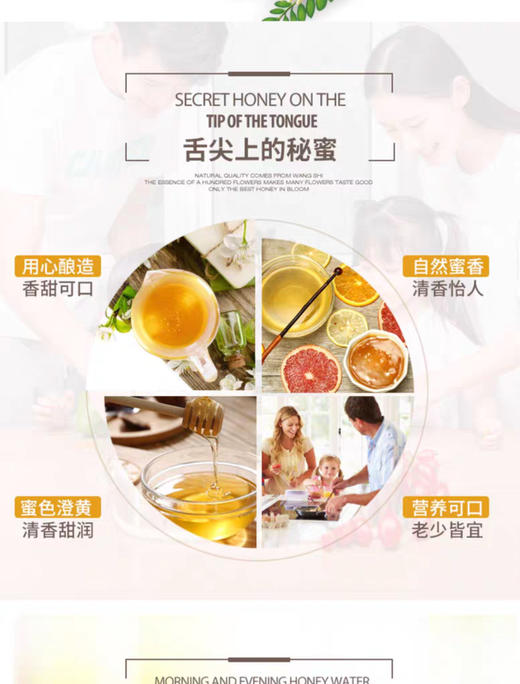 【汪氏】465g洋槐蜜 商品图2
