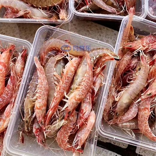 【野生樱花虾】纯正野生海虾，速冻锁鲜，肉质Q弹，营养美味，妈鲜乐广东潮汕海鲜基地发货 商品图4