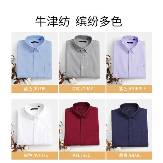 圣得西牛津纺衬衫男长袖秋款休闲纯棉韩版百搭简约白衬衣2950954002 商品图4