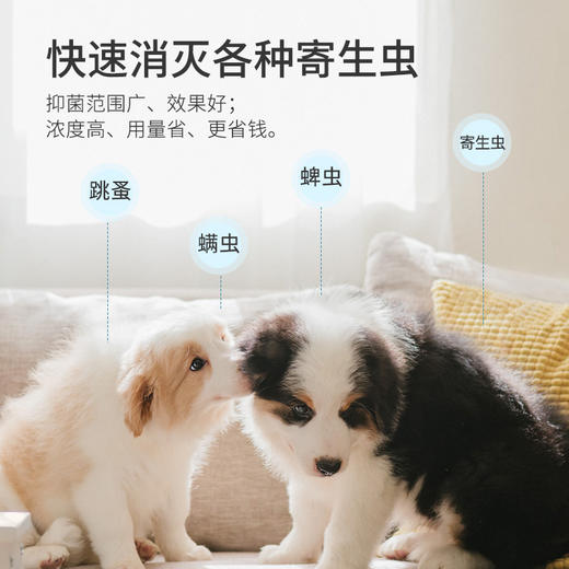 【无库存】华畜兽药 多拉菌素注射液 快速消灭各种寄生虫 体内外驱虫 孕畜可用 商品图3