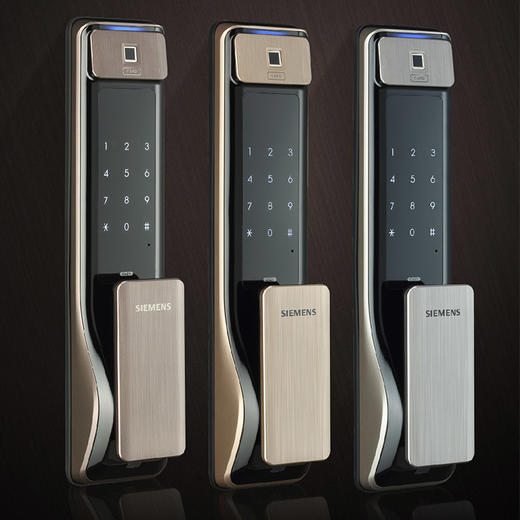 员工内购平台西门子指纹锁 密码锁 家用防盗门锁智能电子锁 磁卡锁 C621 商品图1