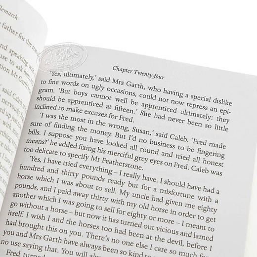 预售 【中商原版】米德尔马契 英文原版 Middlemarch 乔治艾略特 George Eliot 英国文学 商品图3