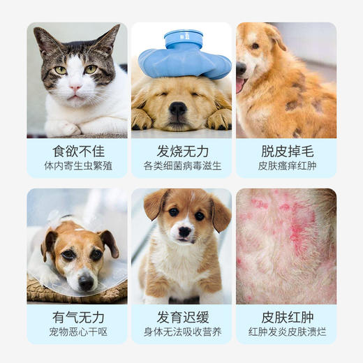 【无库存】华畜兽药 多拉菌素注射液 快速消灭各种寄生虫 体内外驱虫 孕畜可用 商品图2