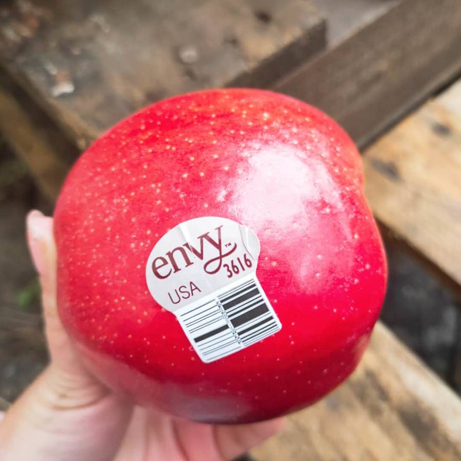 【美国envy爱妃苹果】 苹果含有天然果胶vc,微量元素锌,营养丰富,果色