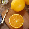 赣南脐橙橙子 商品缩略图3