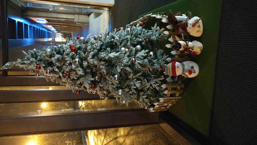 达子测试 商品图0