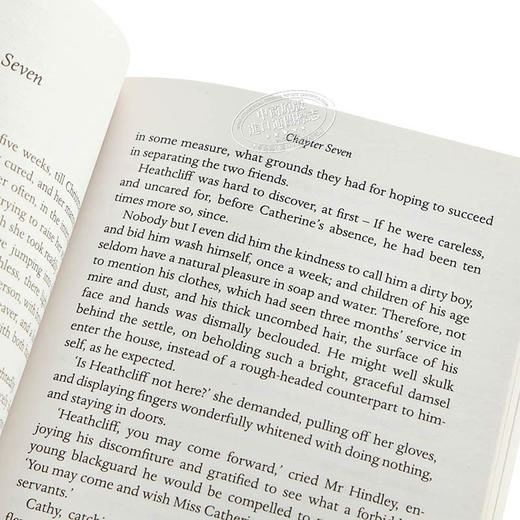 【中商原版】呼啸山庄 英文原版 经典文学 Wuthering Heights  Emily Brontë Penguin Classics 商品图3