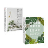 植物风格+室内绿植完整手册（套装2册） 中信出版社图书 正版书籍 商品缩略图3