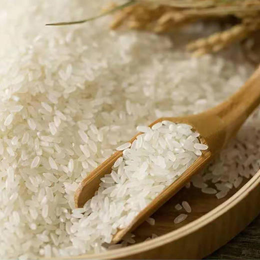 五常大米礼盒装  正宗五常大米 粒粒精品 吃出健康好味道 精致礼盒  简约有格调 商品图6