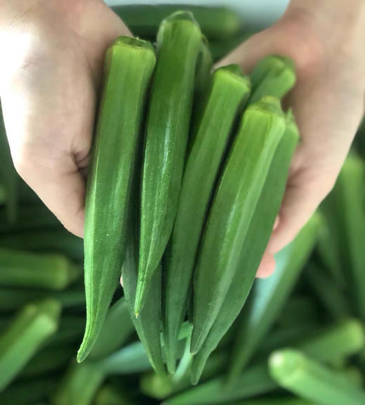 秋葵干即食蔬菜脆 150g 商品图0