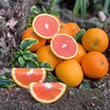 秭归红橙中华红橙 4.5/8斤装 商品缩略图8