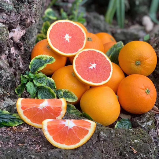 秭归红橙中华红橙 4.5/8斤装 商品图8