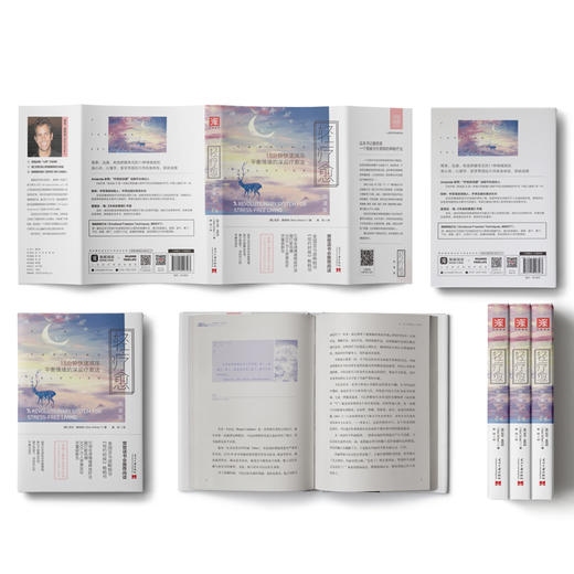 轻疗愈（悦读版）：轻敲8个穴位，有效疏通经络，简单快速舒缓常见的11种情绪困扰与身体病痛！ 商品图1