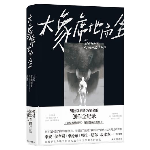 大象席地而坐（导演胡波享誉世界的非凡遗作，李安李沧东极力盛赞，彭昱畅章宇主演电影《大象席地而坐》剧本全收录） 商品图0