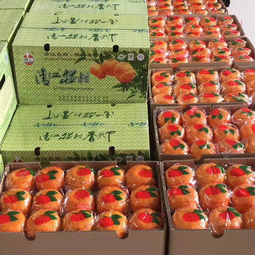 正宗岩松坪椪柑特级45个装净重13斤 商品图1