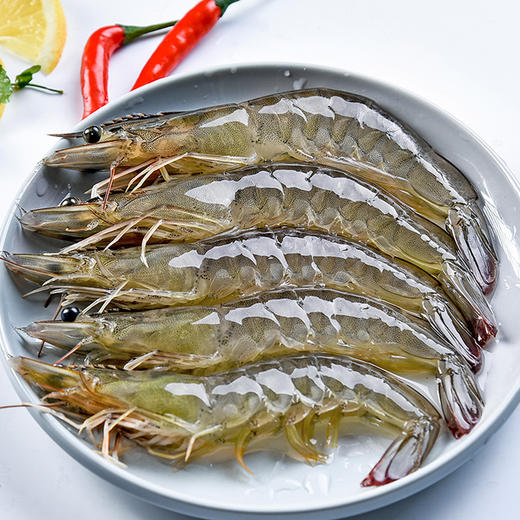 无冰大虾国产鲜活冻虾大个1板约300g