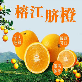 黔东南 榕江【贵州村超榕江脐橙】10斤装 全国包邮 部分地区不发货  新鲜现摘 甘甜多汁