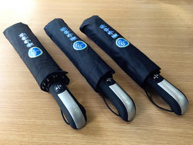 定制全自动加固雨伞 骨今中外