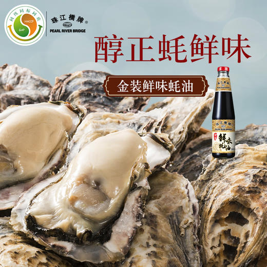 珠江桥牌 金装鲜味蚝油470gX4瓶 商品图2