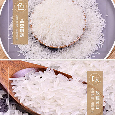 巷子深软香丝苗米5kg 商品图4