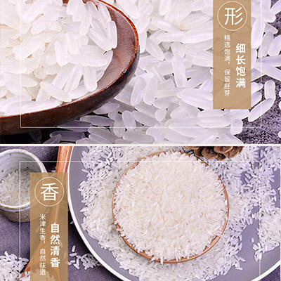 巷子深软香丝苗米5kg 商品图3