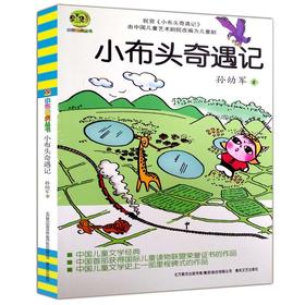 小布头奇遇记(中国儿童文学经典)