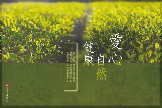 特级乌龙茶200克 商品图4