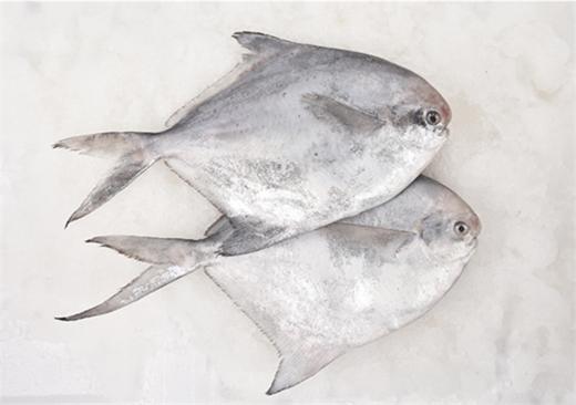 预售 预计12月30日发货「自营」 舟山野生银鲳鱼( 通过放射性安全复检) 商品图2