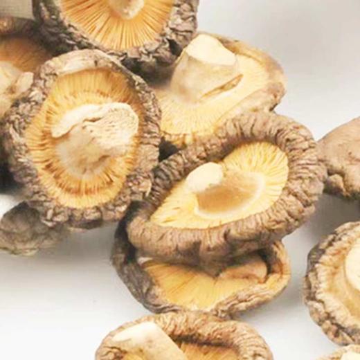 民华黒珍金钱菇 250g 商品图1