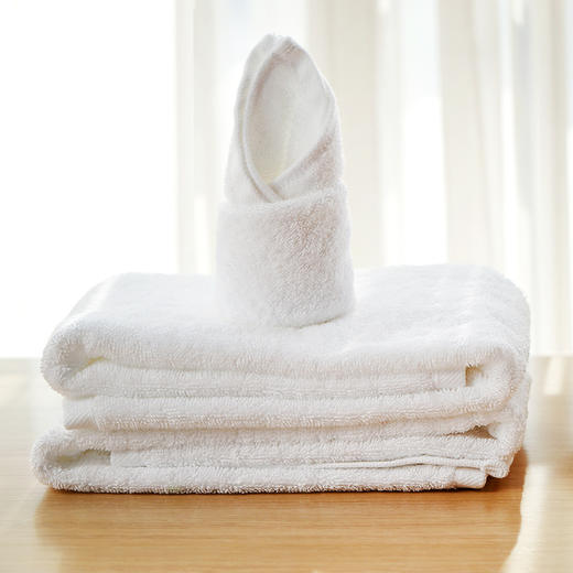 【洗浴套装】 内含维也纳专享 全棉面巾 纯白色 1条（78*41cm）+阿道夫 洗发水护发素套装420ml+420ml 净澈清爽 商品图0