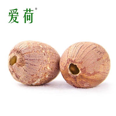爱荷洪湖红皮莲288g 商品图2