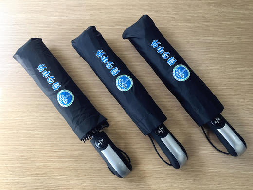 定制全自动加固雨伞 骨今中外 商品图1