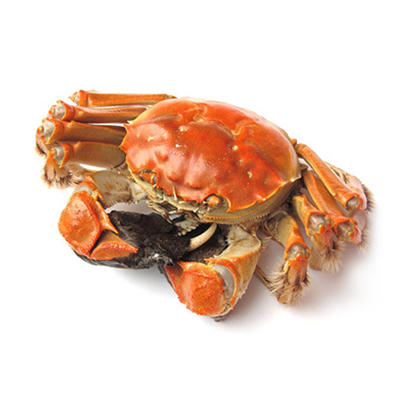 南荷·香辣蟹洪湖大闸蟹  600g*2 商品图5