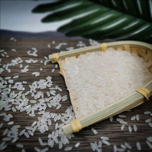 五常大米礼盒装  正宗五常大米 粒粒精品 吃出健康好味道 精致礼盒  简约有格调 商品图7